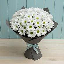 Букет цветов из:  Хризантемы #REPLACE_PRED# Большегривском