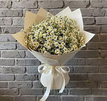Букет цветов из:  Ромашки #REPLACE_PRED# Большегривском